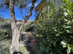 Corsanico: Single Villa with garden, sea view and large size - 19