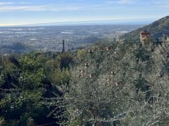 Corsanico: Villa Singola con giardino, vista mare e ampia metratura - 33