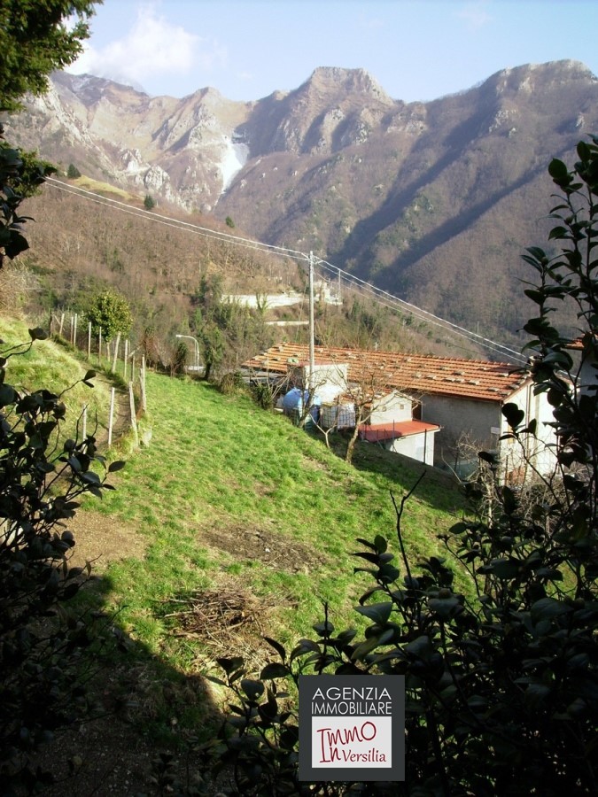  stazzema vendita quart: terrinca immo in versilia