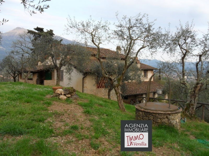 Villa CAMAIORE vendita  Camaiore  Immo In Versilia