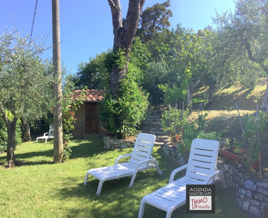 Rustico - Cascina MASSAROSA vendita  Massarosa  Immo In Versilia