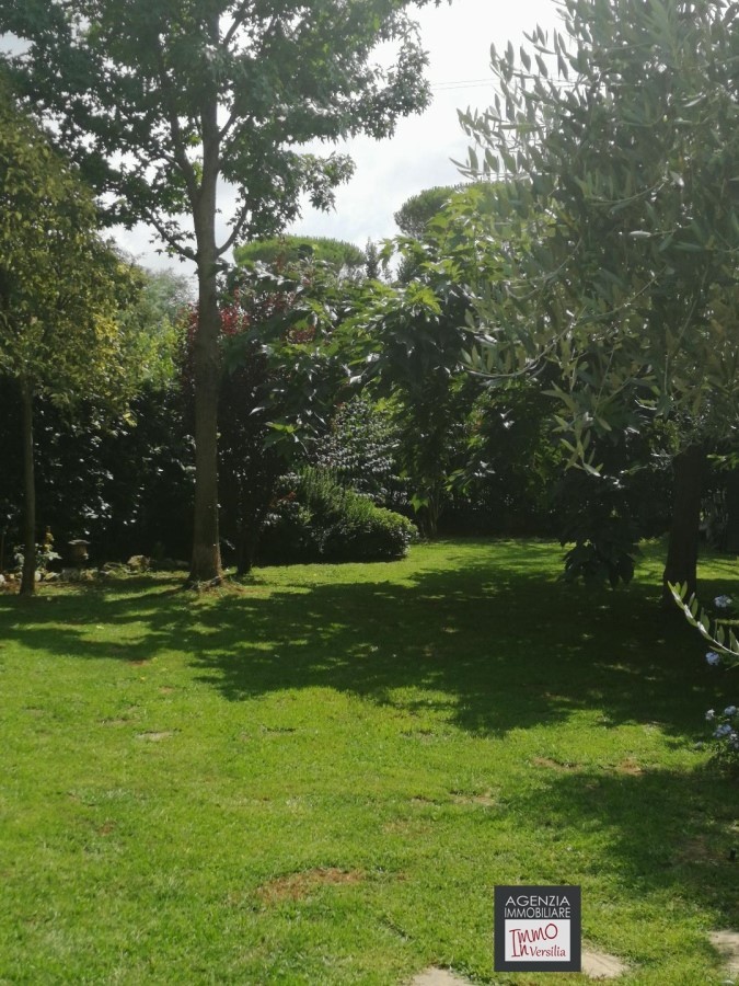 Villa MASSAROSA vendita  Piano del Quercione  Immo In Versilia